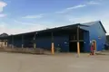 Warehouse 100 m² in Rasony, Belarus