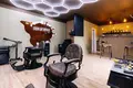 Lokal użytkowy 34 m² z najemcą i dochodem 5,5% rocznie — Jáchymov, Czechy