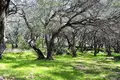 Atterrir 1 chambre  Agios Mattheos, Grèce