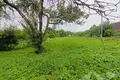 House 60 m² Liebiadzieva, Belarus