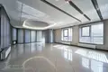 Commercial property 221 m² in Minsk, Belarus