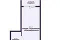 1 room apartment 27 m² Minsk, Belarus