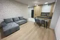 Apartamento 2 habitaciones 43 m² en Pabianice, Polonia