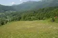 Land  Zabljak, Montenegro