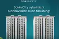  Sokin City