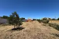 Land  Novosele, Albania