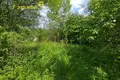 Land  Bialarucki sielski Saviet, Belarus
