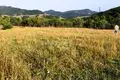 Land  Kiketi, Georgia