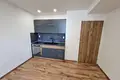 1 bedroom apartment 24 m² okres Ostrava-mesto, Czech Republic