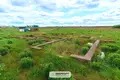 Land  Sitniki, Belarus