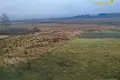 Haus 43 m² Ozyaritska Slabadski rural council, Belarus