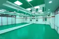 Propiedad comercial 126 m² en Minsk, Belarús