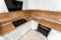 Maison 251 m² Babrouïsk, Bélarus