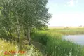 Дом 45 м² Дукорский сельский Совет, Беларусь