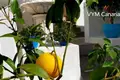 7-Schlafzimmer-Villa 151 m² Guia de Isora, Spanien