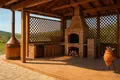 Operating premium class winery – cellar “Zenishi”, located in Kakheti, Sagarejo municipality, in the village of Khashmi