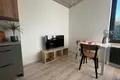 Apartamento 1 habitación 26 m² en Cracovia, Polonia