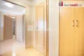 Apartment 145 m² okres ceske Budejovice, Czech Republic