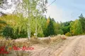 Grundstück  Aziaryckaslabadski sielski Saviet, Weißrussland