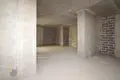 2 room apartment 95 m² Minsk, Belarus