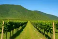 Land  Kvareli, Georgia