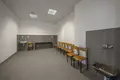 Propiedad comercial 8 habitaciones 267 m² en Varsovia, Polonia