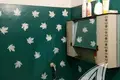 1 room apartment 30 m² Brest, Belarus