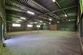 Квартира 425 м² в Tarnowo Podgorne, Польша
