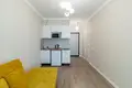 Appartement 1 chambre 28 m² Minsk, Biélorussie