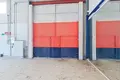 Warehouse 979 m² in Sant Vicent del Raspeig San Vicente del Raspeig, Spain
