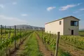 🍇 For Sale – Operating Winery and Vineyard