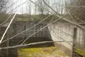 Земельные участки  Демидовичский сельский Совет, Беларусь