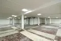 Geschäft 1 zimmer 578 m² in Minsk, Belarus