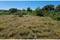 Land 1 337 m² Opcina Vir, Croatia