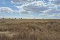 Działki  Sukhyi Lyman, Ukraina
