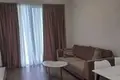 1 Bedroom Apartment for Rent in Tbilisi