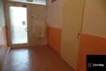 Квартира 2 комнаты 70 м² Теплице, Чехия