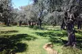 Land 1 room 13 000 m² Kavala Prefecture, Greece