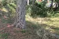 Atterrir  Sutomore, Monténégro