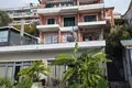 1 bedroom apartment 40 m² Montenegro, Montenegro