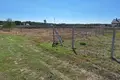 Land 1 003 m² Nienawiszcz, Poland