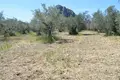 Land 3 120 m² Peloponnese Region, Greece