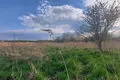 Appartement 1 400 m² Cracovie, Pologne