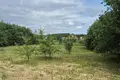 Działki  Miadzielski sielski Saviet, Białoruś