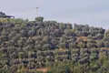 Villa  Motovun, Croatie