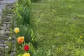 Дом 59 м² Петришковский сельский Совет, Беларусь