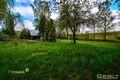 House 40 m² Rubiazevicki sielski Saviet, Belarus
