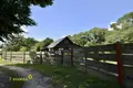 Haus 54 m² Hajnienski sielski Saviet, Belarus