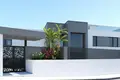 5 bedroom house  Benahavis, Spain