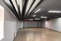 Produktion 161 m² in Minsk, Belarus